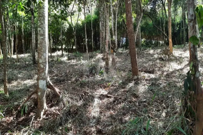 Lote em Condomínio à venda, Estância Serrana - Nova Lima/MG