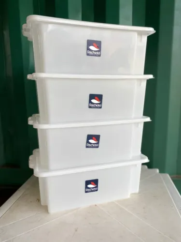 Caixa Organizadora para alimentos