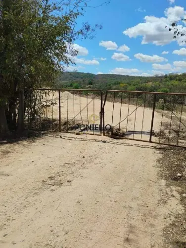Terreno Venda Campestre