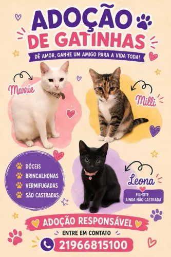 Doação