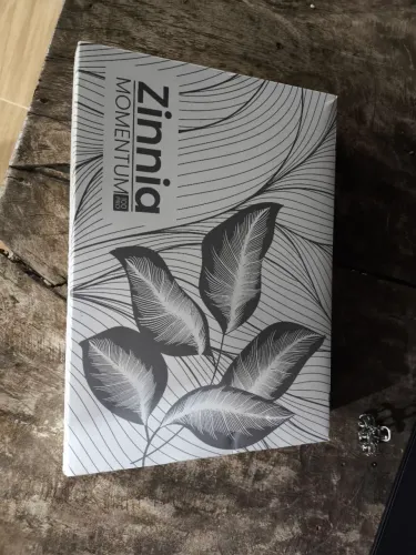 Mesa Digitalizadora Zinnia MT100 PRO