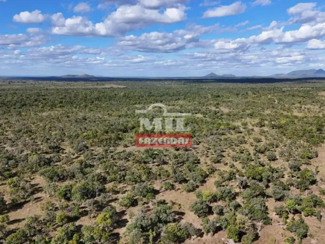 Imóvel para venda tem 500 metros quadrados em Zona Rural - Arraias - TO