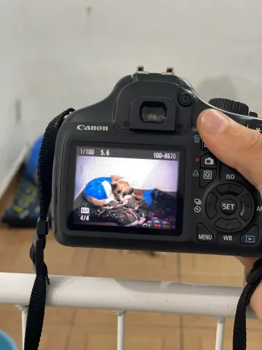 Canon EOS T3 + Lente 18-55mm Original + Bateria + Carregador