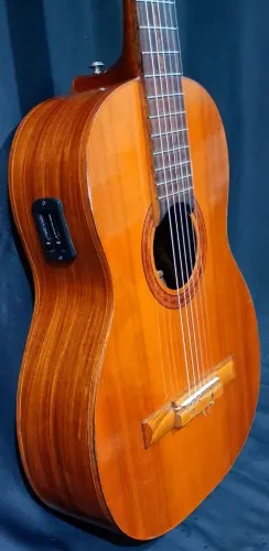 Violão Di Giorgio Signorina 16 cordas de nylon Giannini novas