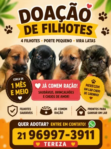 Doação de 4 cachorrinhos porte pequeno mãe pai vira lata. 1 mês e 20 dias