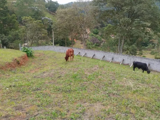 Terreno em Santa Isabel - Escritura | Financiamento | Aceito propostas