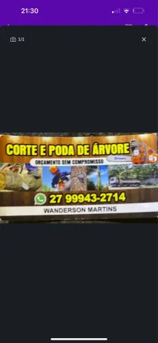 Corta e poda de árvores