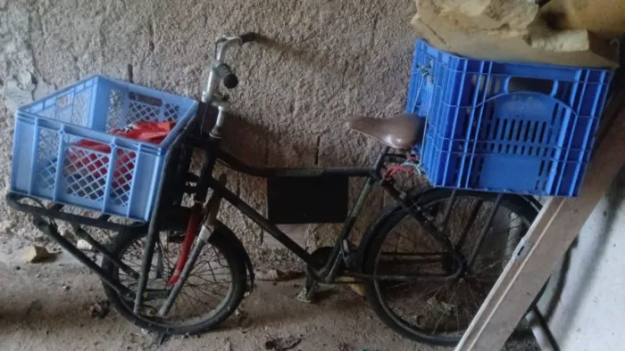 Bicicleta Cargueira