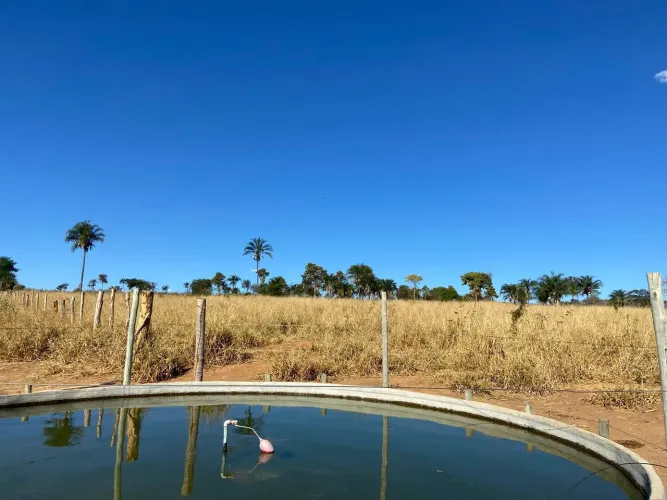 Fazenda à venda em Grão Mogol - MG<br>>