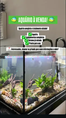 Aquário 42 litros