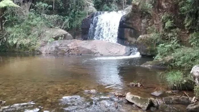 SÍTIO/ TERRENO COM CACHOEIRA, PASTAGEM FORMADA, MADEIRAS DE LEI 127 ha