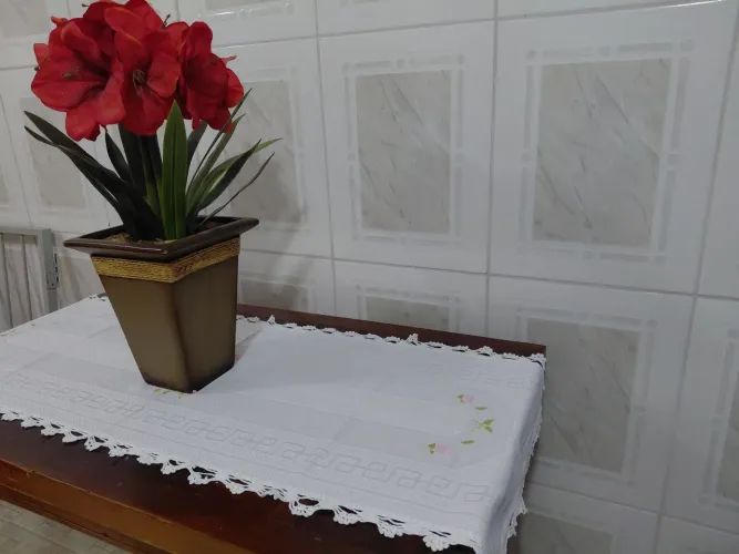 Kit passadeira e lindo vaso de amarilis 