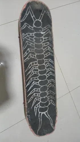 vendo skate profissional (usado)