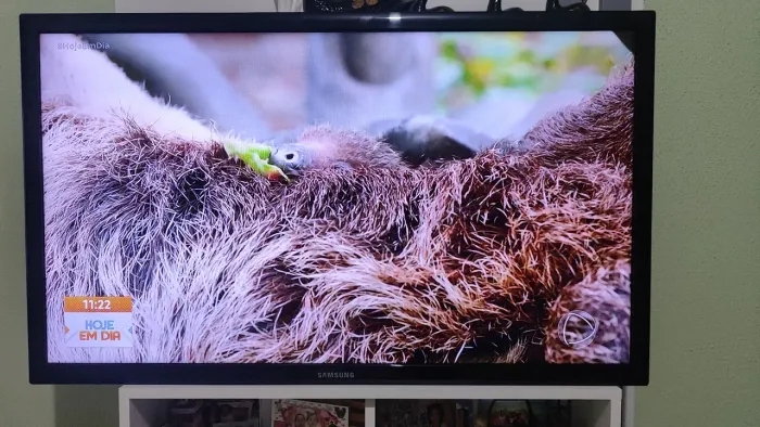 Televisão Samsung 40 polegadas tela plana