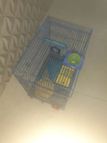 Gaiola pra ramester