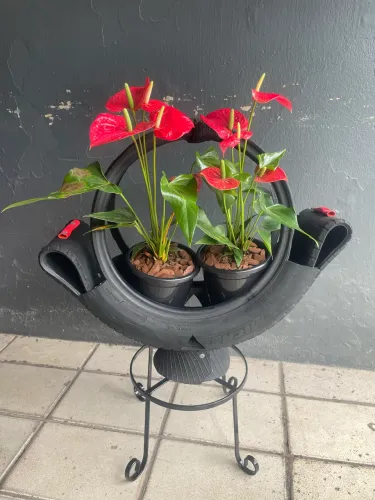 Conjunto Decorativo Sustentável - Porta-plantas com Pneu + Suporte em Ferro