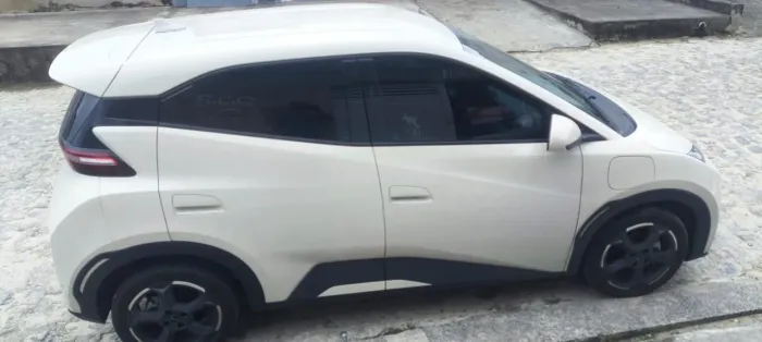 BYD Dolphin Mini (Elétrico) 2025