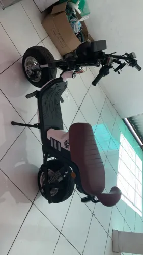 Bicicleta elétrica Harley 16