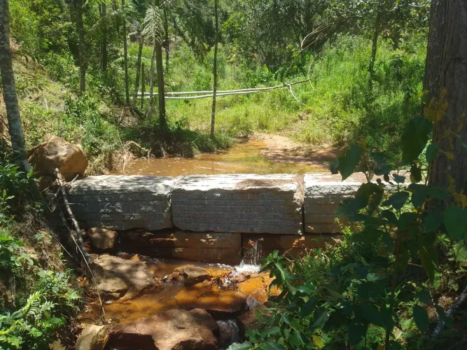 Sítio alto santa Maria de Araguaia 10 mil metros quadrados