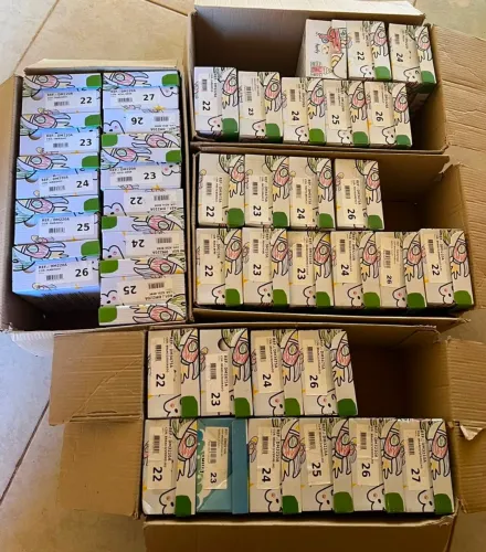 Lote de calçados infantil