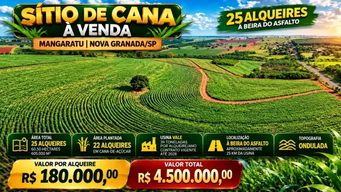 SÍTIO DE CANA À VENDA MANGARATU | NOVA GRANADA/SP R$ 180.000,00 por alqueire