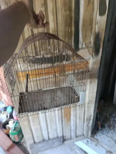 Gaiola