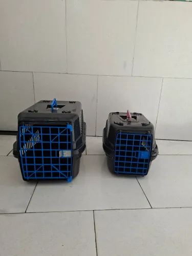 Caixas transporte PET números 3 e 2