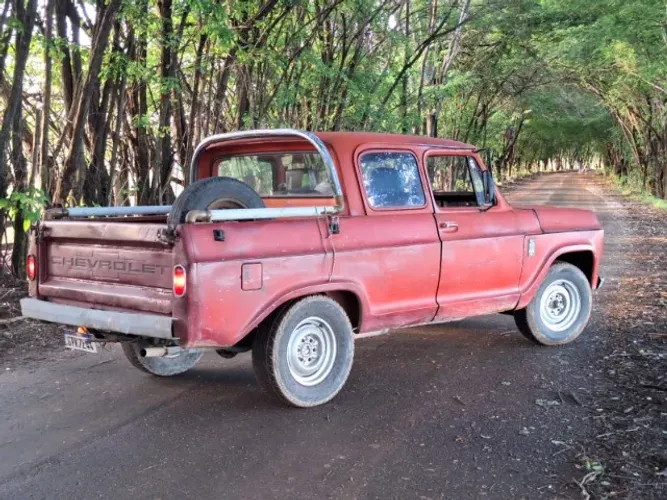 Chevrolet D-10 Diesel 1984