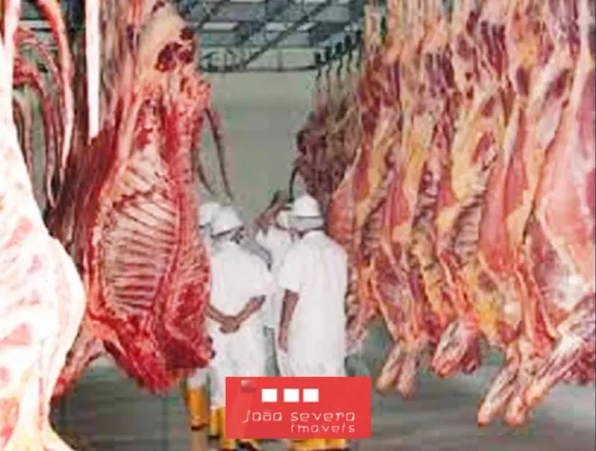 Área Industrial para Venda em Goiânia