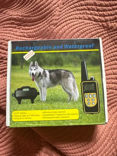 Colar de treinamento para cachorro