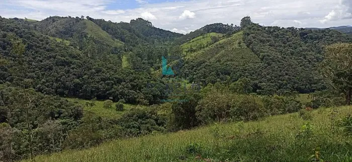 SÍTIO SEM BENFEITORIAS NA ESTRADA DO PARAIBUNA EM CUNHA-SP