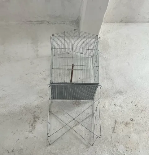 Vivero
