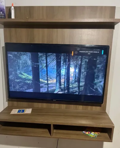 Tv painel