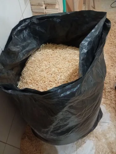 Serragem para criação 