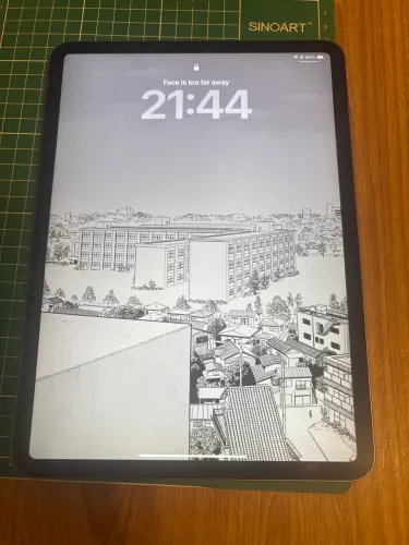 iPad Pro 11 Polegadas 256 GB Cinza Espacial