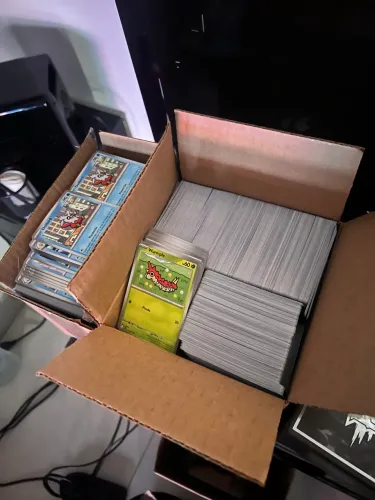 Bulk cartas Pokémon todas comuns