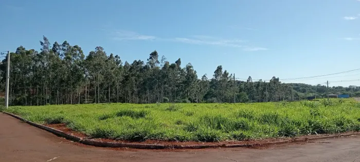 Área 15mil m² em Ponta Porã