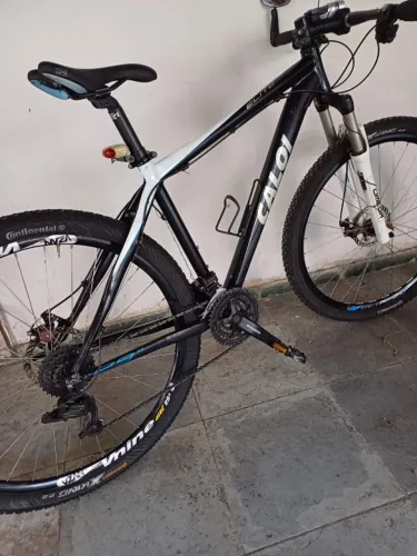 Bicicleta