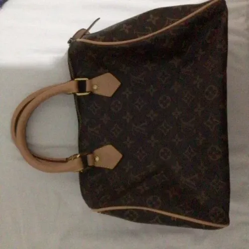 Bolsa Louis Vuitton Speedy