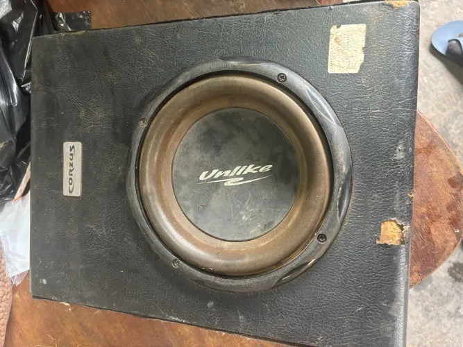 Subwoofer corzus cxs200