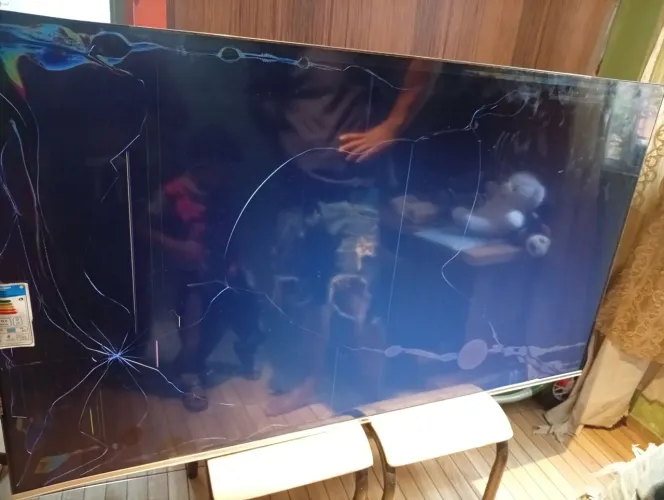 Televisão