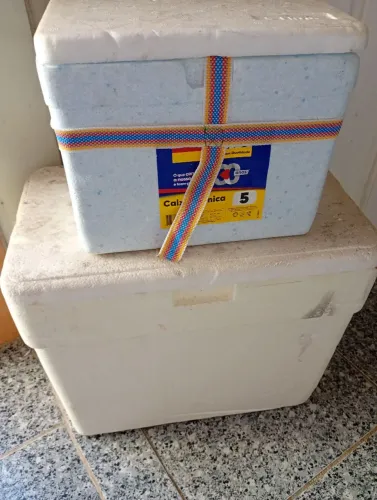 Vendo caixas térmicas 20 reais as duas