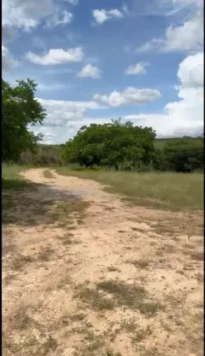 Fazenda para Venda em Cristópolis, 3 dormitórios, 2 suítes, 3 banheiros
