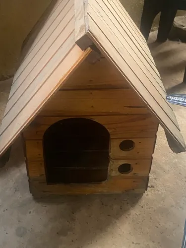 Vende casinha de cachorro porte médio