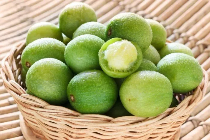 Muda de Umbu Gigante