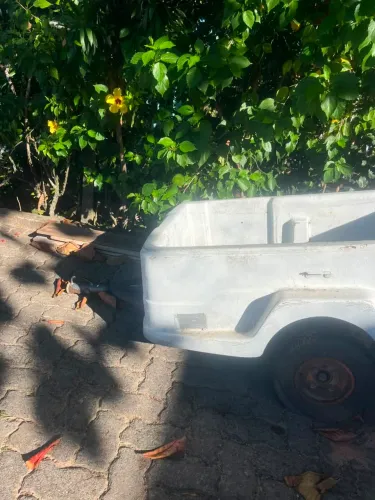Carrocinha de fibra