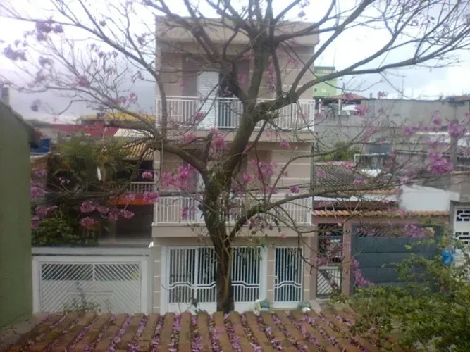 Vendo Mudas de Ypê Roxo - Guarulhos 