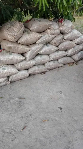 Vendemos Terra preta misturado com adubo de boi e baú a encomenda valor r$ 70 o saco