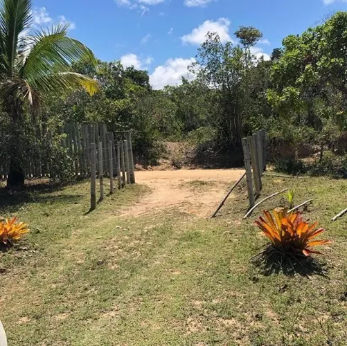 Vendo área de 22 mil metros quadrados em Jacumã estrada de iparoranga Trancoso/caraiva