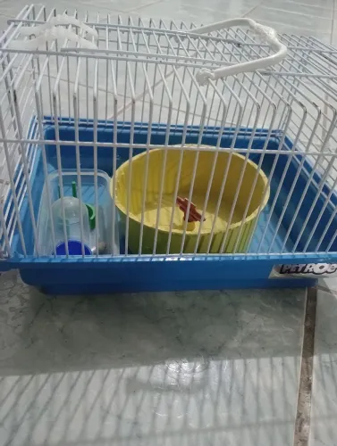 Casinha de hamster